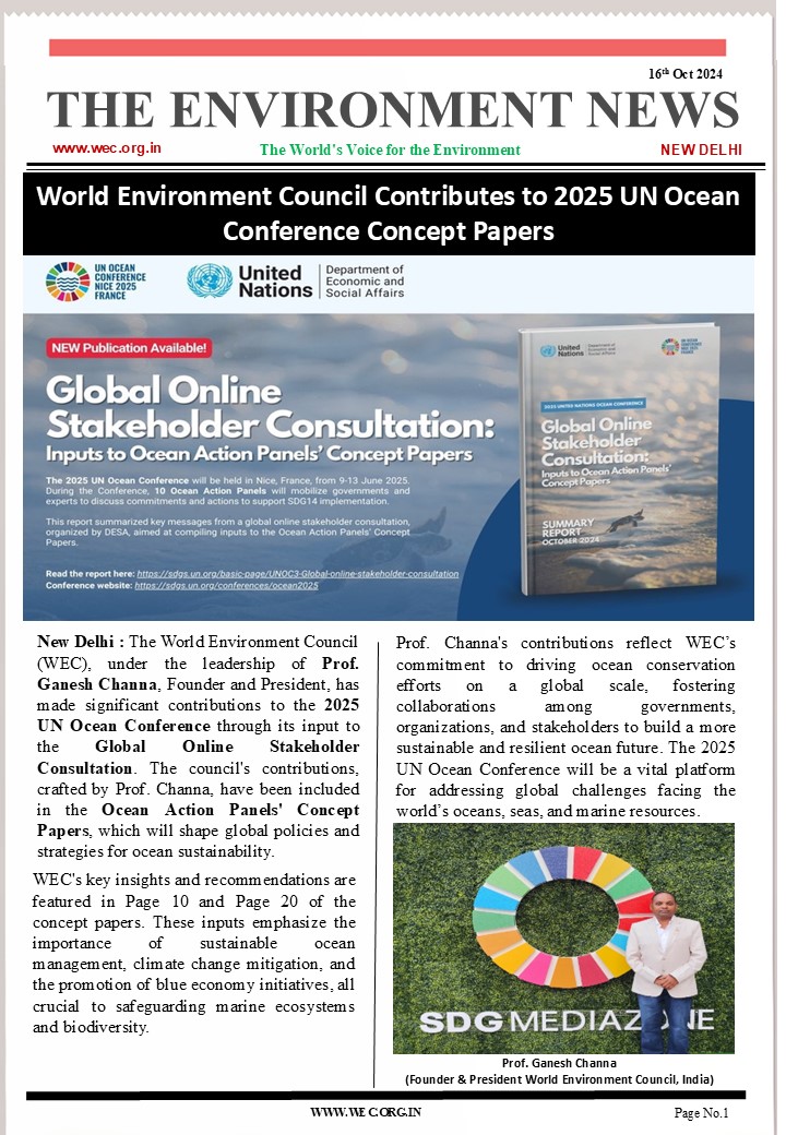 UN inputs by wec 2025