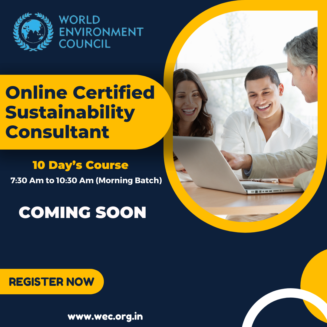 certified sustainability consultant